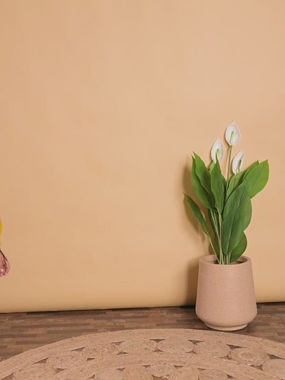 Golden Glow Embroidered Cotton Flex Outfit – Girls