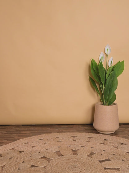 Ivory Bloom – Lace Peplum Kurti & Patiala Set