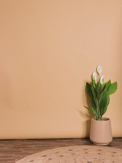 Brown Heritage Print Kurta & Pyjama