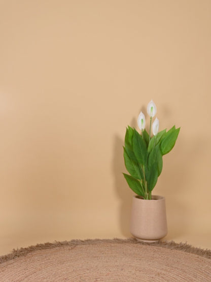 Little Prince Red Kurta Pyjama