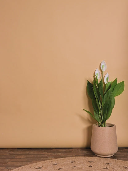 Beige Floral Ethnic Kurta Set with Nehru Jacket – Boys