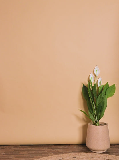 Blue Heritage Print Kurta Pyjama Set with Classic Nehru Jacket