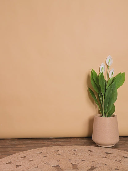 Rosy Glow Embroidered Cotton Flex Set – Girls